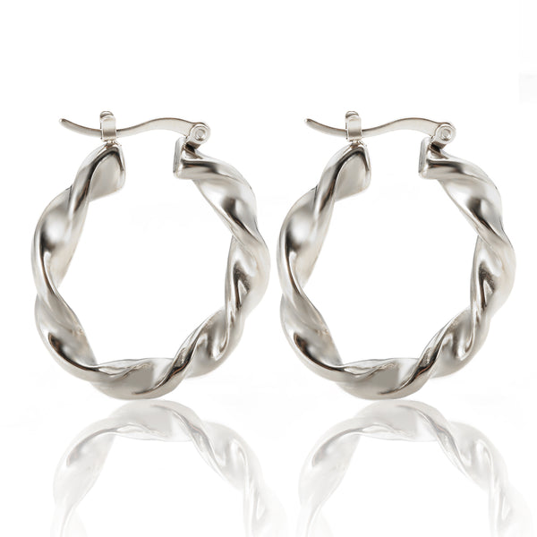 Earrings Stainless Steel Jewelry